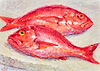 Red Snappers  V