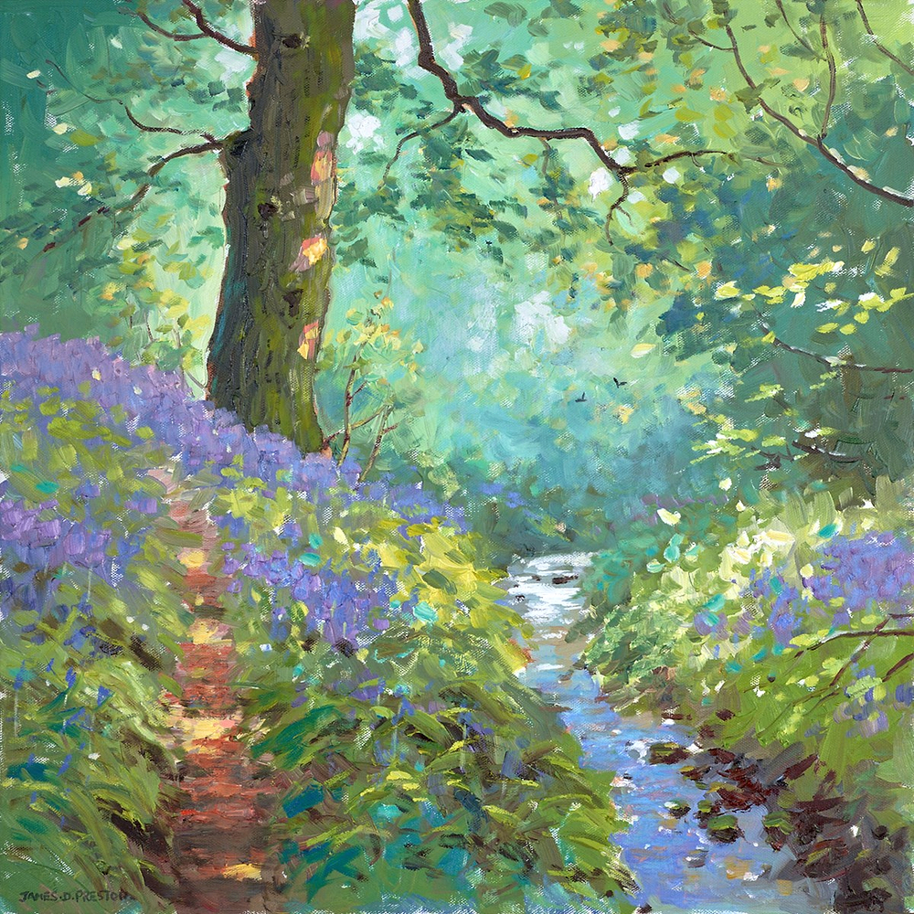 Bluebells Stream II