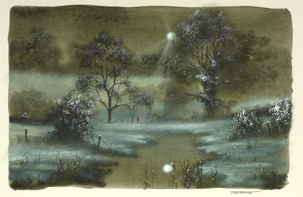 A Walk In The Snow