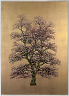 Woodland Beauty II (Framed)