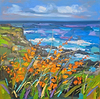 Rocky Coast with Montbretia