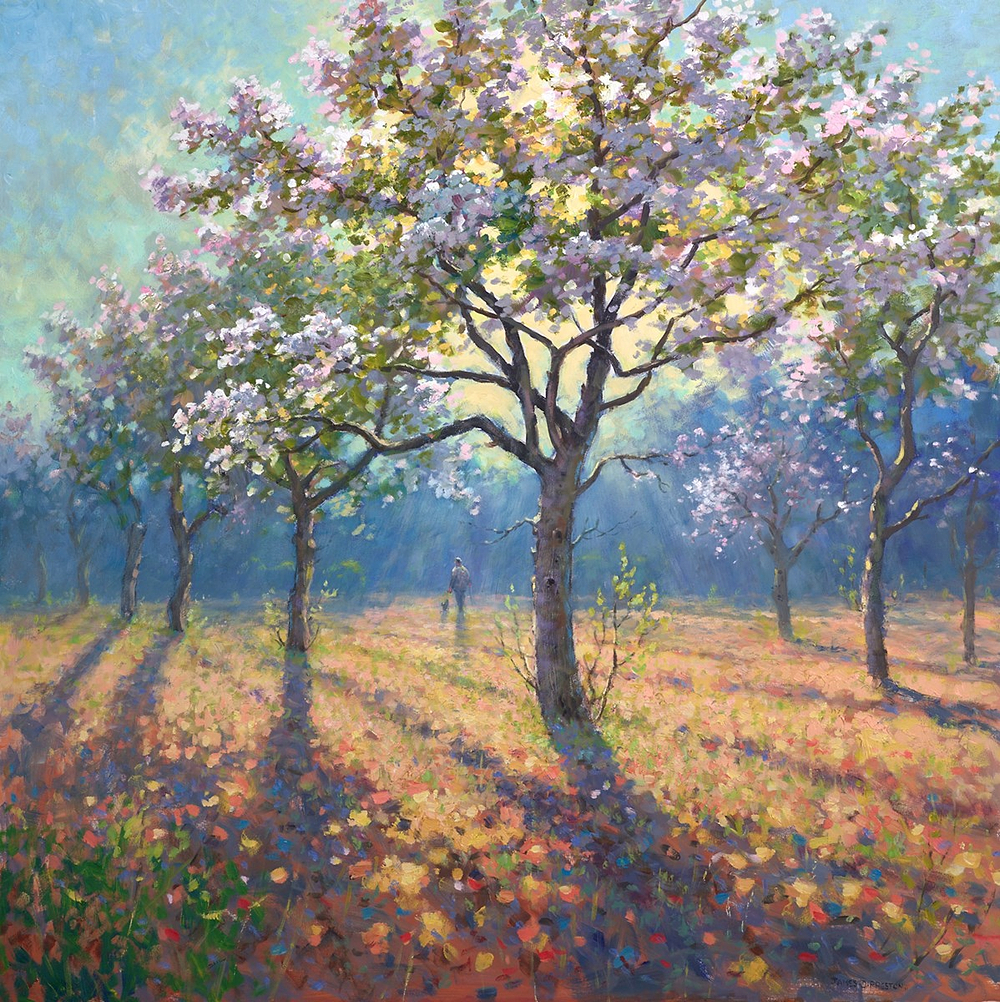 Almond Trees