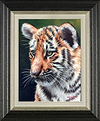 Tiger Cub (Framed)