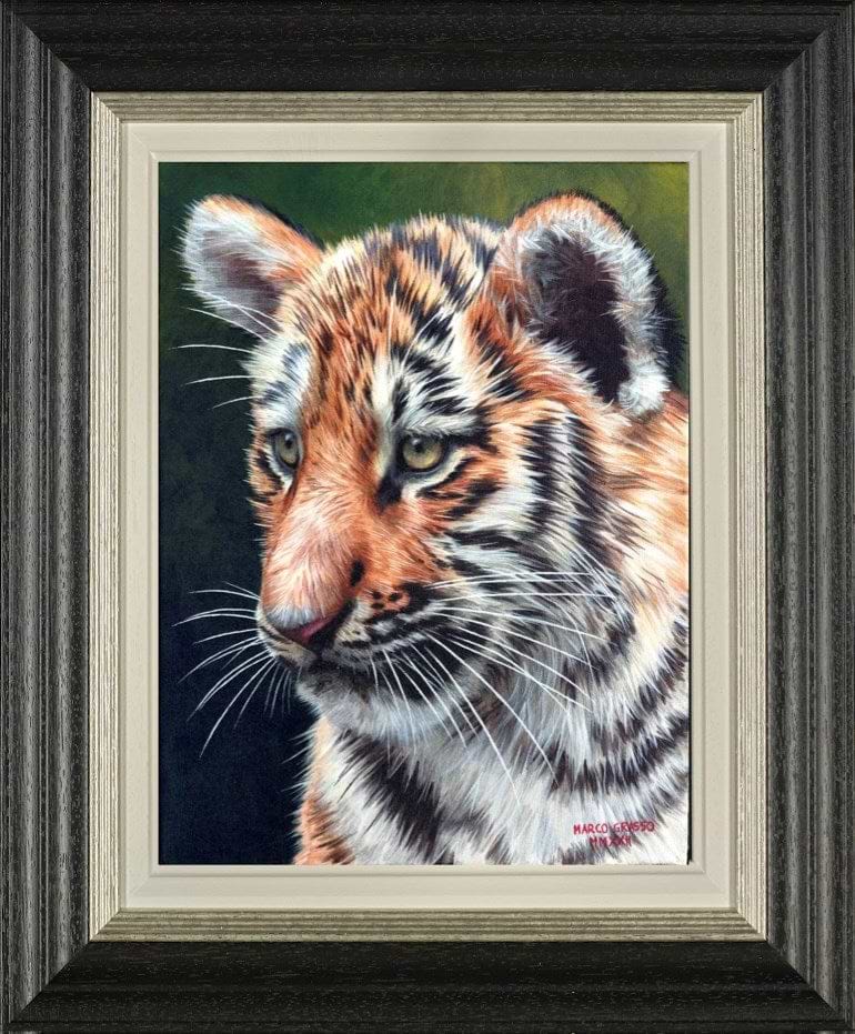 Tiger Cub