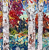 Colourful Woodland III