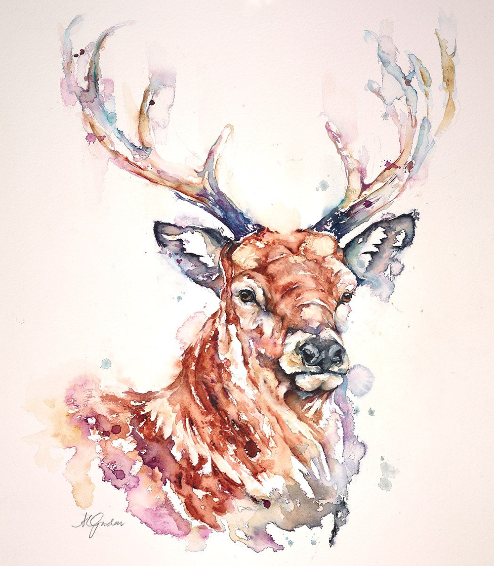 Noble Red Stag Head