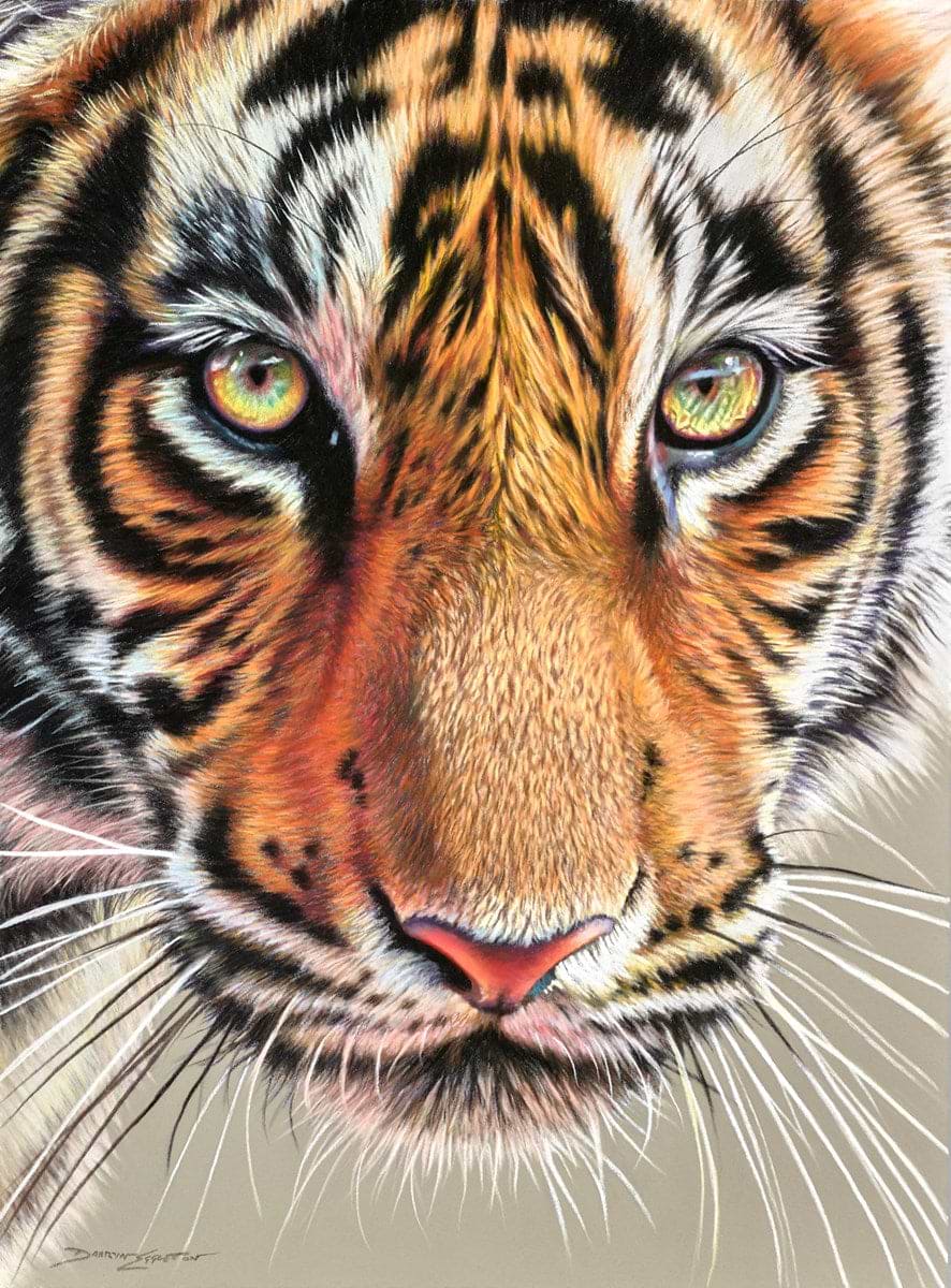 Tiger Eyes