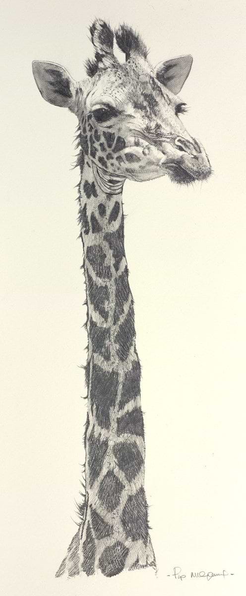 A Tall Order