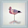 Cotton Candy (Framed)