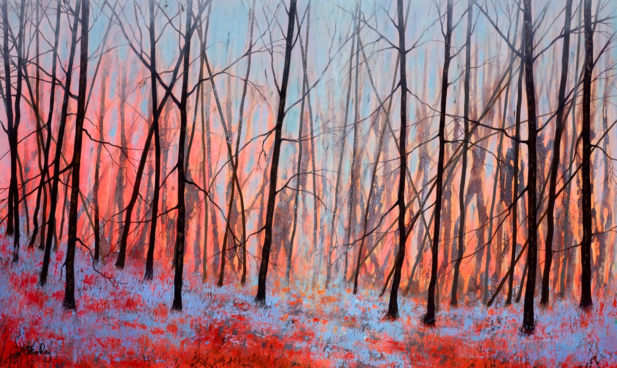 Forest Of Light