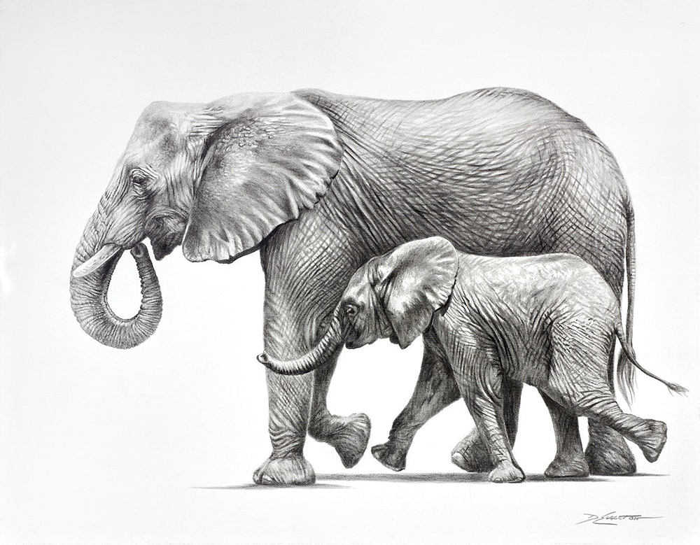 Elephants Happy Together