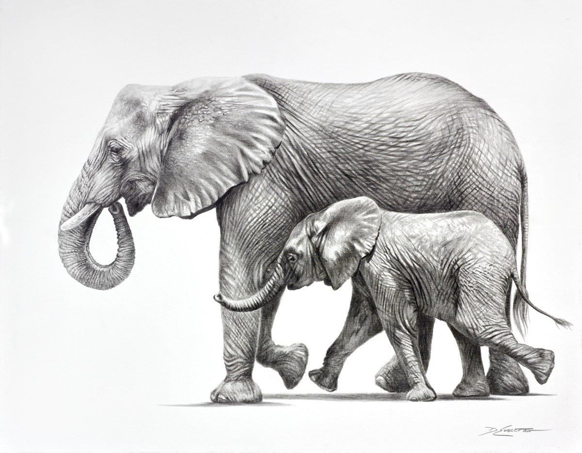 Elephants Happy Together