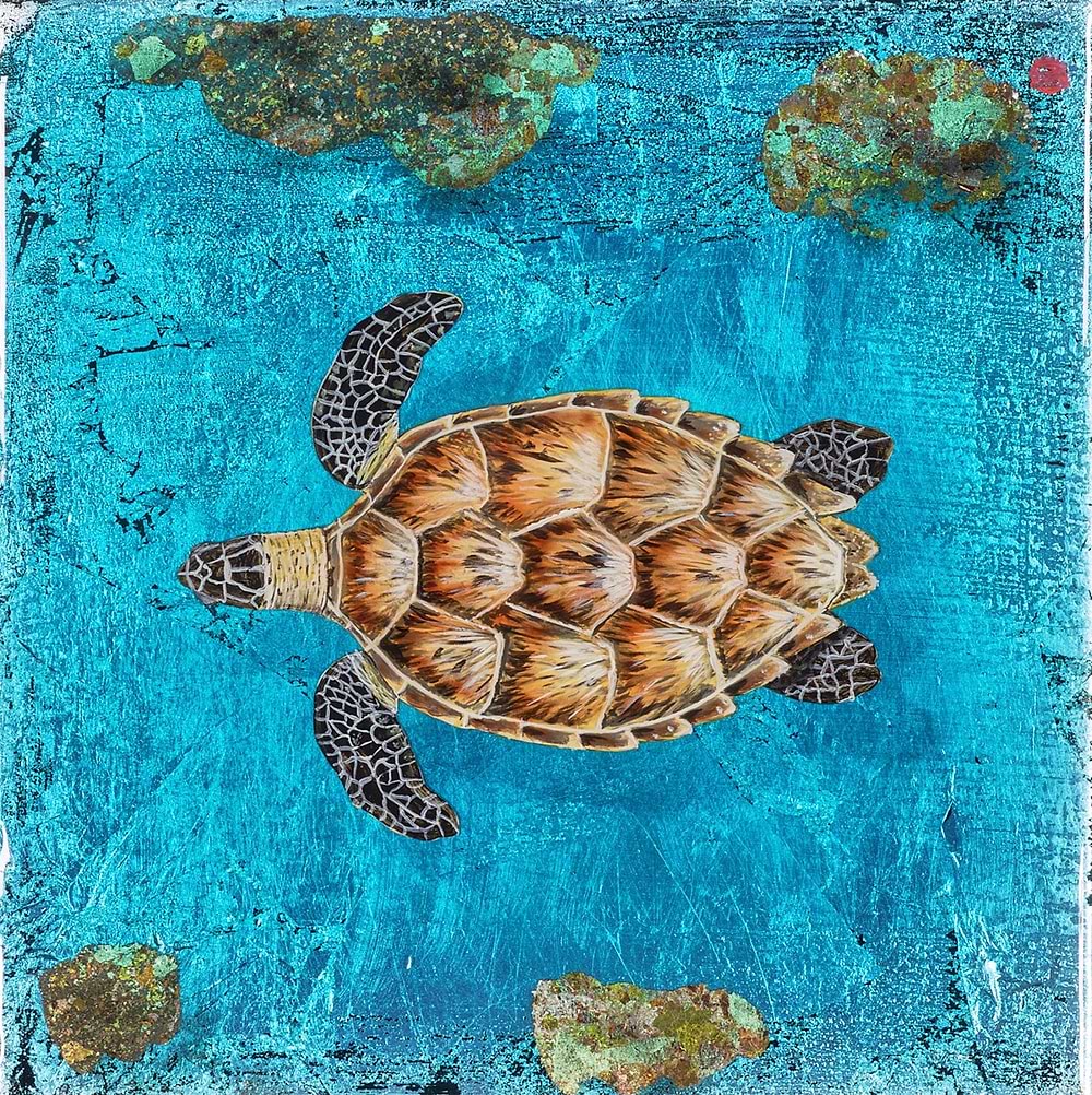Turtle Reef