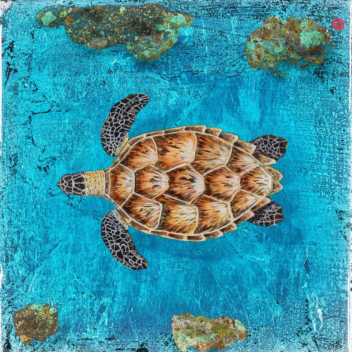 Turtle Reef