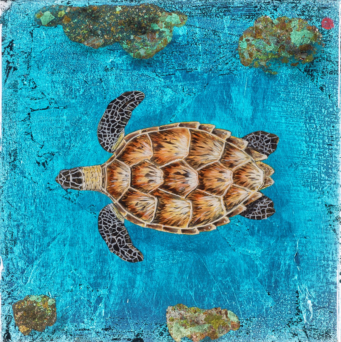 Turtle Reef