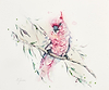 Pink Cockatoo among Leaves