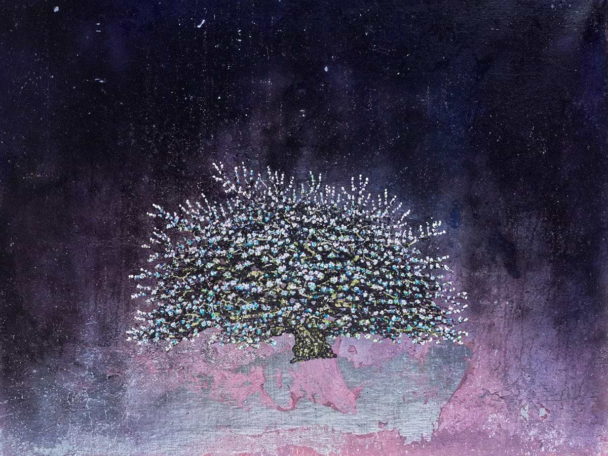 A Tree In Bloom VI