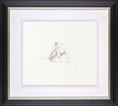 Dromedary from Animals in the Zoo, 1981 (Framed)