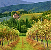 Il Vigmeto