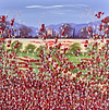 Poppy Melodies
