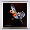 Robin in Flight (Framed)