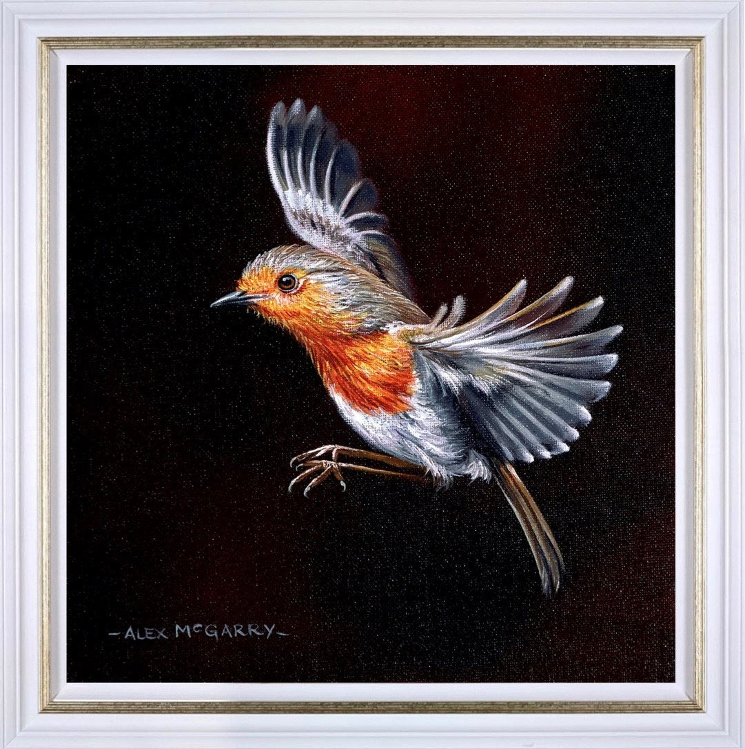 Robin In Flight