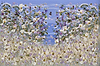 Spring Coastal View II