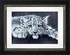 Snow Leopard Cub (Framed)