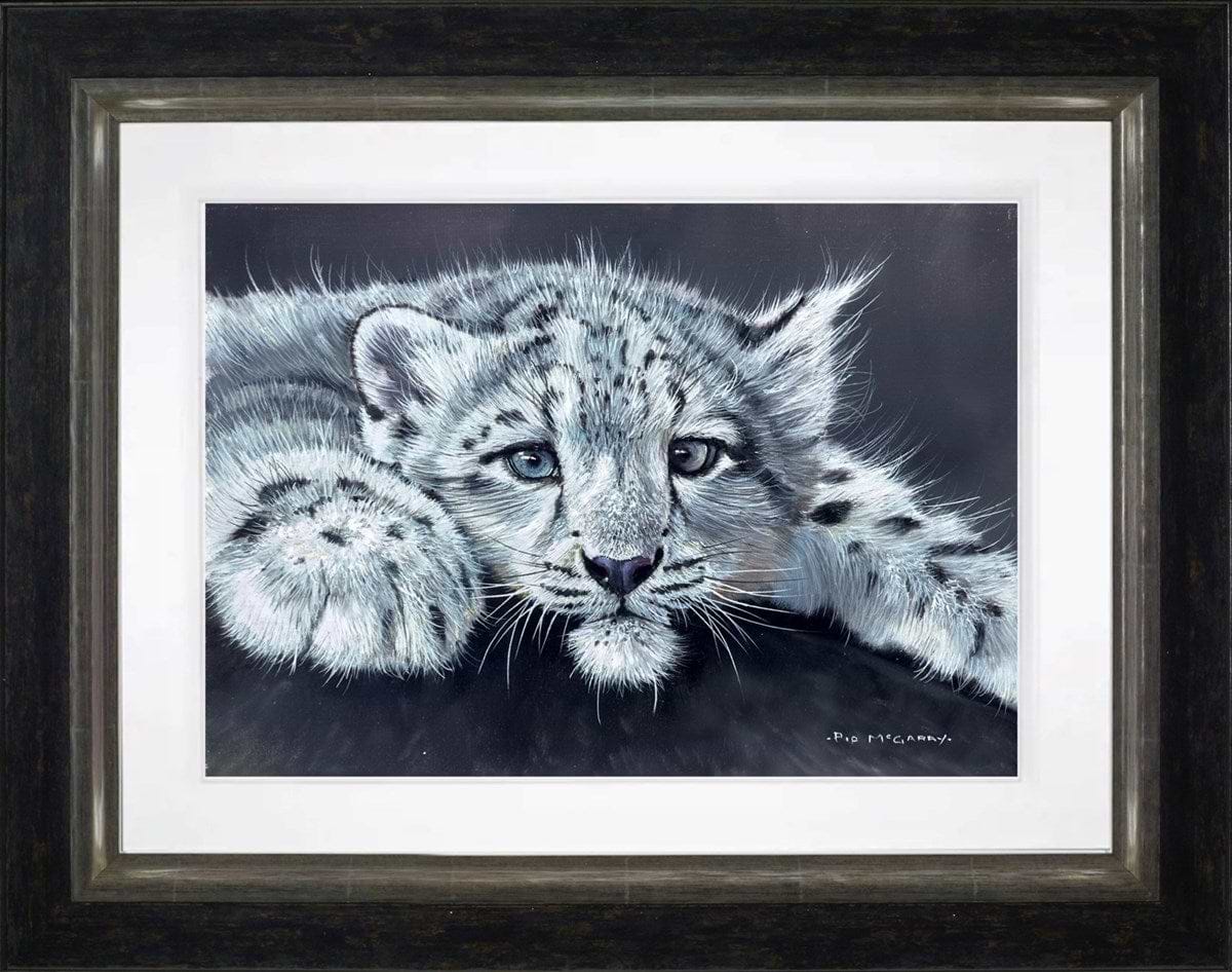Snow Leopard Cub