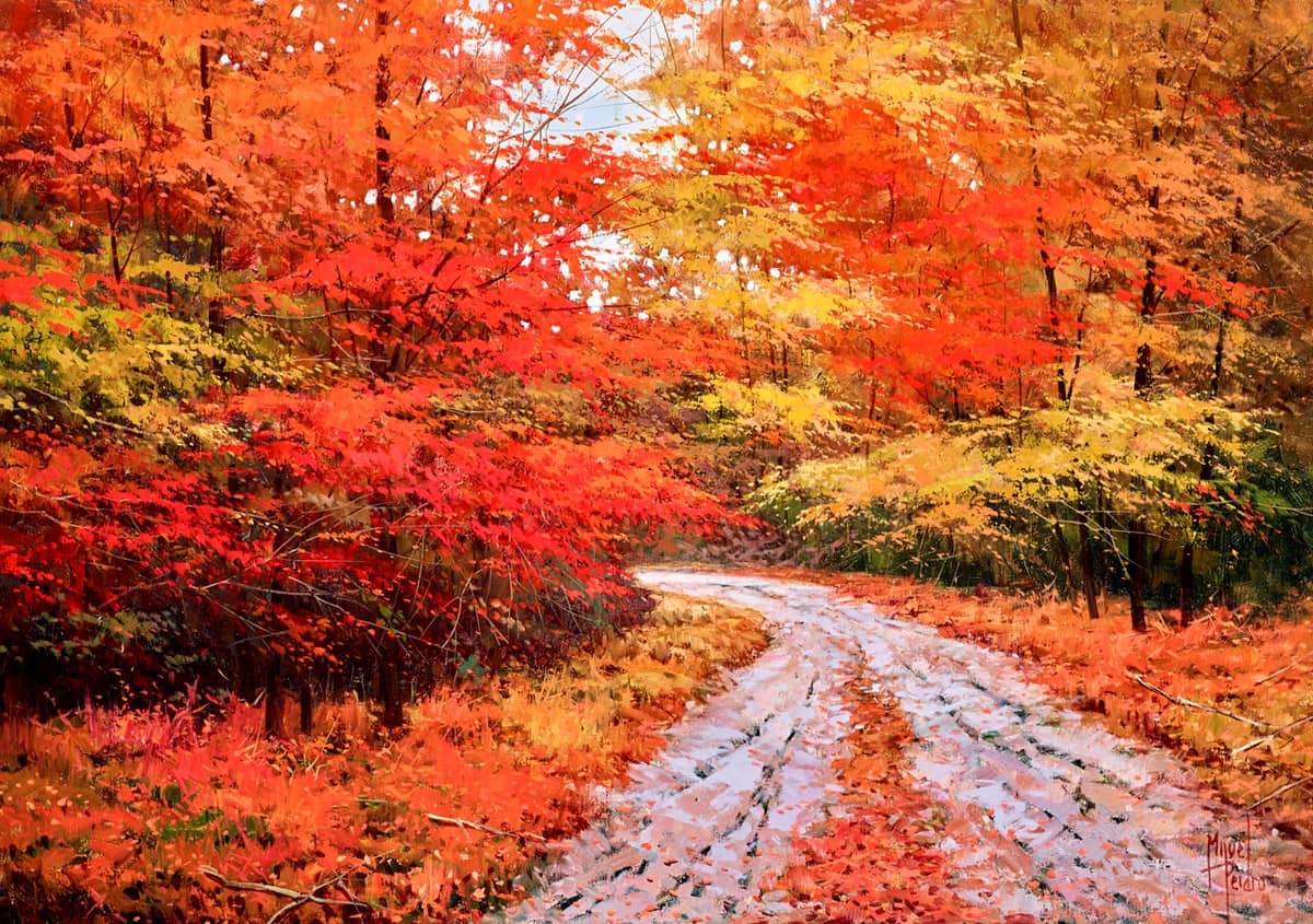 Irati En Pleno Otoño
