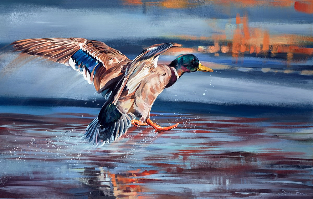Splash Down II