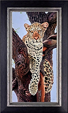 Leopard in Tree (Framed)