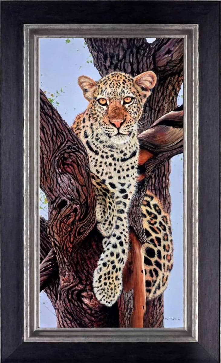 Leopard In Tree