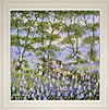 Forest Bluebells (Framed)