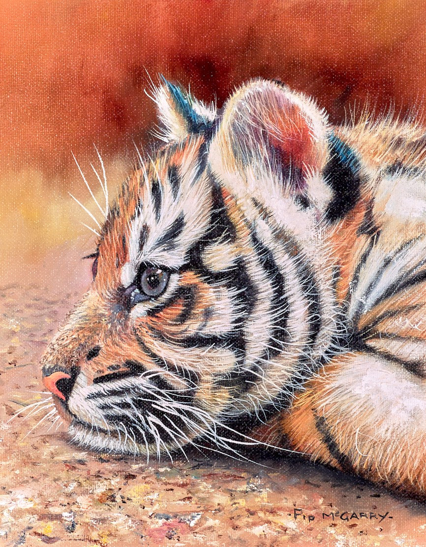 Contemplation