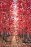 Vibrant Forest II