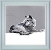 Grey Wolf (Framed)