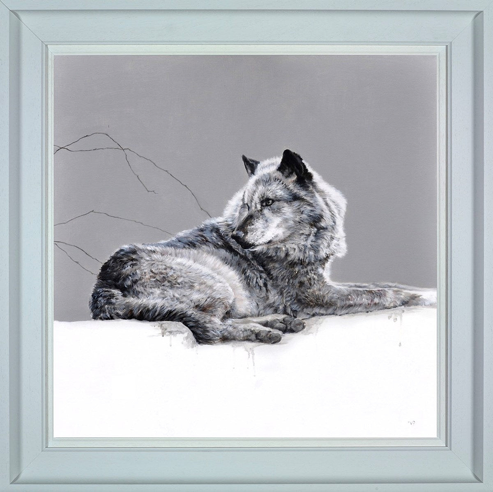 Grey Wolf
