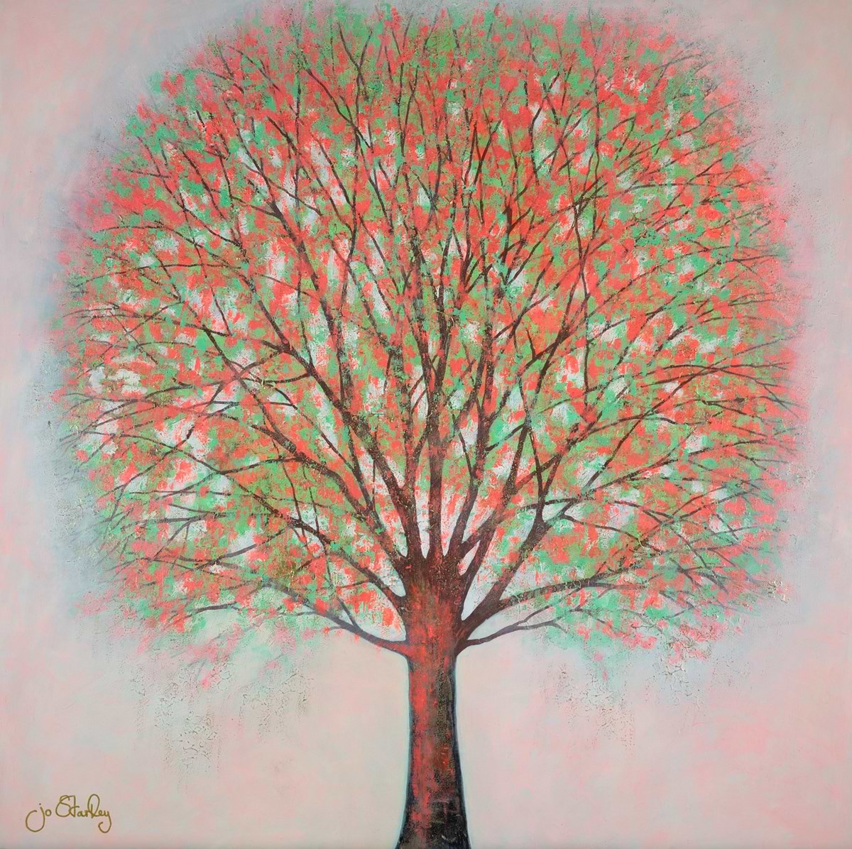 Wish Upon A Tree