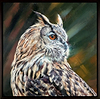 Wise One (Framed)