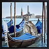 Venetian Romance (Framed)