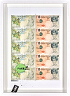Di - Fake Tenner BGB