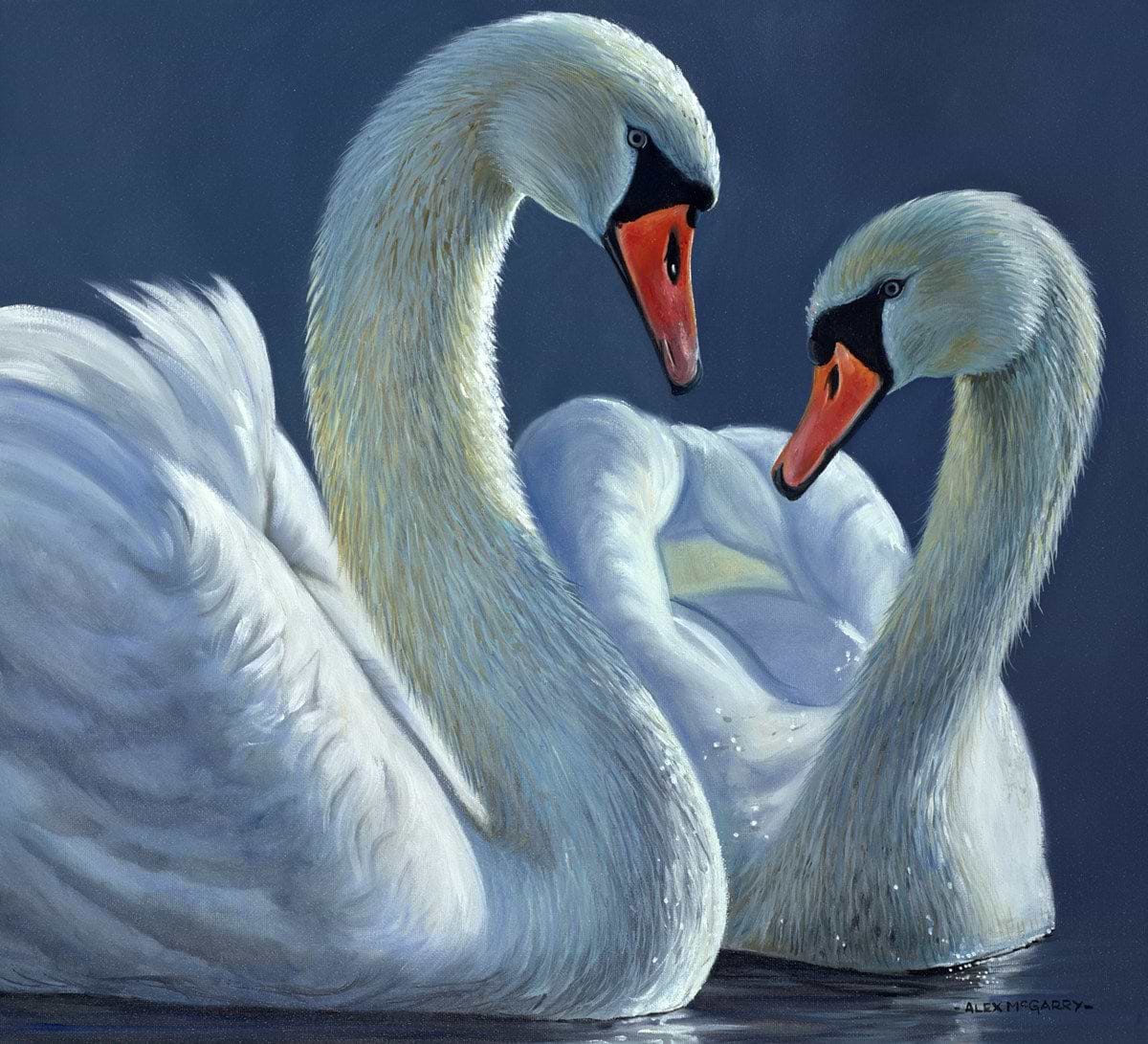 The Two Swans