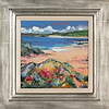 Sea Pinks Near Arisaig