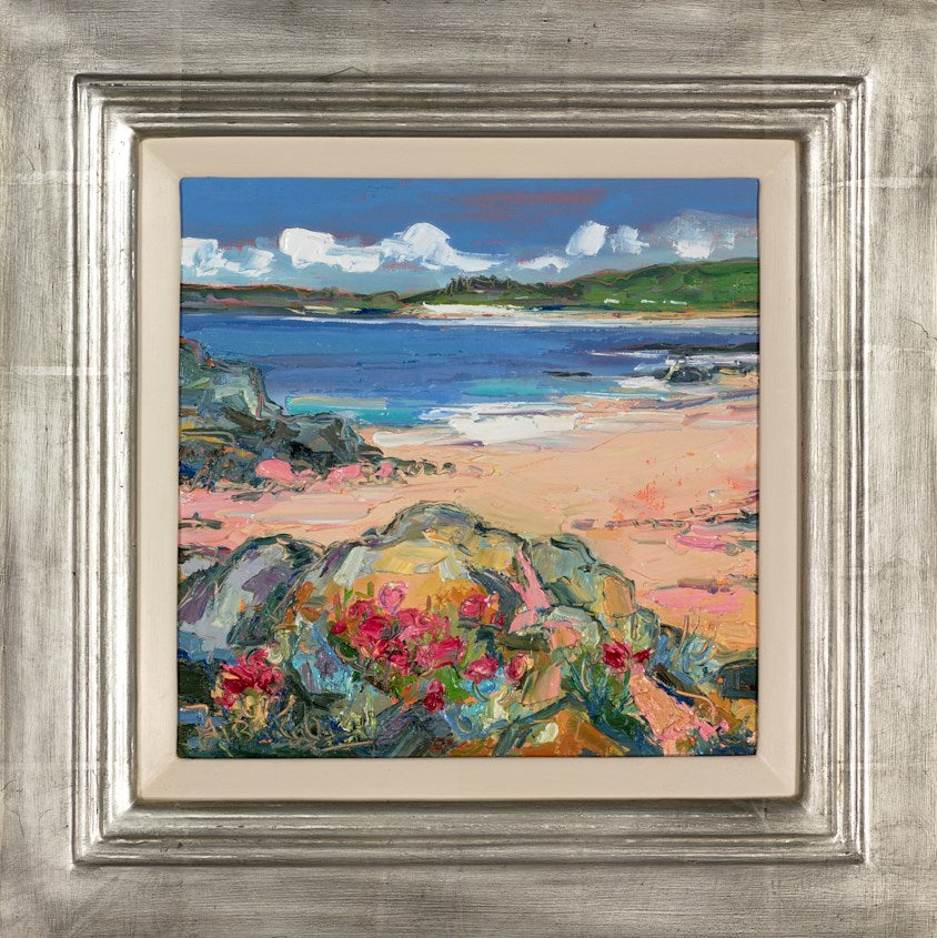 Sea Pinks Near Arisaig