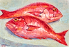 Red Snappers  III