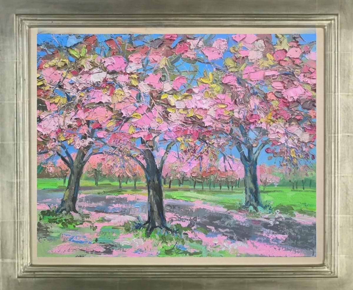 Sun On Cherry Blossom, The Meadows