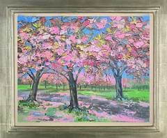 Sun on Cherry Blossom, The Meadows (Framed)