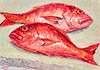 Red Snappers  IV