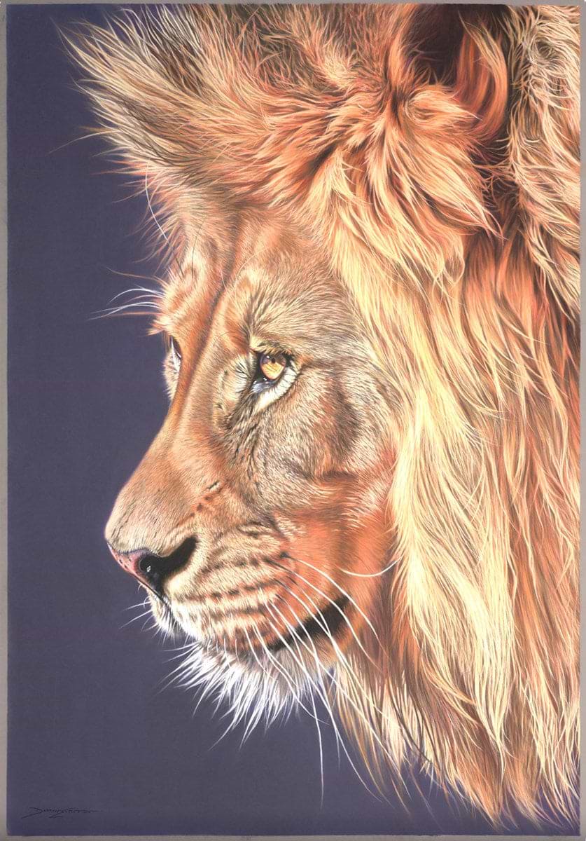 Il Lione